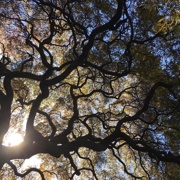 Meet your Posher, Anya - Picture 6 of 13